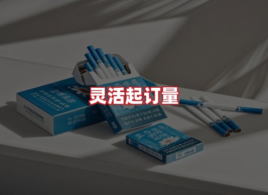专业团队